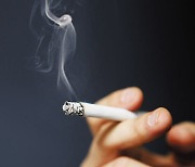 궐련형 전자담배 흡연자 80%가 거실·음식점·화장실 안에서 '뻑뻑'