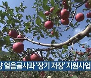 밀양 얼음골사과 '장기 저장' 지원사업 추진