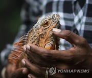 INDIA ANIMALS