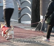 동물 학대·안전사고 막자..동물보호법 전면 개정 추진