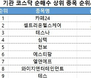 코스닥 주간 기관 순매수 상위 1위 '카페24'