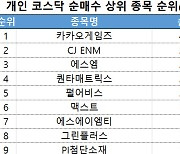 코스닥 주간 개인 순매수 상위 1위 '카카오게임즈'