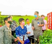 북한 "집단적 경쟁 열풍으로 다수확, 풍요한 가을 다가온다"