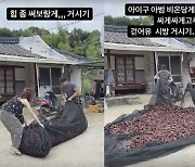 김동성♥인민정, 냉장고바지 입고 고추 걷는 것도 마냥 신난 신혼 "힘 좀 써봐"