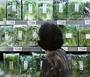 S. Korea's food prices increase to third highest among OECD states