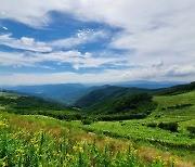 City in the mountains is a classical music sanctuary