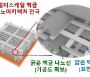 KIST-KAIST, 초미세 인쇄기술로 나노구조 전극 개발