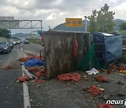 남해고속도로 제2낙동대교서 1톤 포터 쓰러져..한때 차량 통제