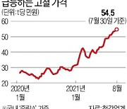 고철값 고공행진..철강사들 석탄 대신 찾아