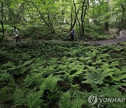 새로 설정한 제주 곶자왈 지대, 지역 주민 반응은?