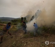 Greece Fires