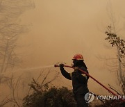 GREECE WILDFIRES