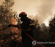 GREECE WILDFIRES