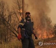 GREECE WILDFIRES