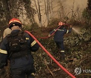 GREECE WILDFIRES