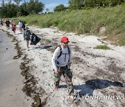 USA FLORIDA MANGROVES CLEANING