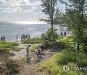 USA FLORIDA MANGROVES CLEANING