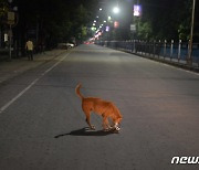 블랙록 "신흥시장, 코로나로 인한 영구적 피해 위험 직면"