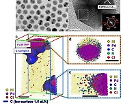 [과기원은 지금] KAIST, 나노입자 표면 리간드 분자 3차원 분포 최초 규명 外