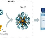 SK바사 백신 임상 3상 승인.. "내년 1분기 허가신청할 것"