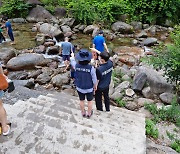 단양국유림관리소, 8월 말까지 여름철 산림 내 불법행위 단속