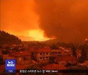 세계 곳곳 '꺼지지 않는' 산불..탄소 배출 최대