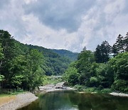 Finding peace in mountains of Pyeongchang