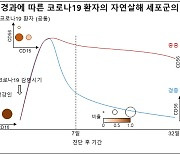 KAIST "중증 코로나19 환자 선천면역반응 회복 더뎌"