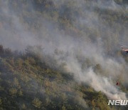 진화되는 터키 산불..당국자 "진행 중 산불 2건"