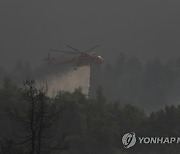 GREECE WILDFIRES