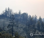 Greece Fires