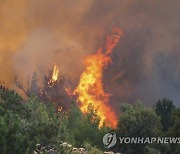 Turkey Wildfires