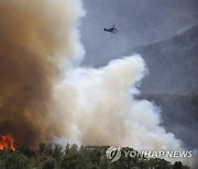 Turkey Wildfires