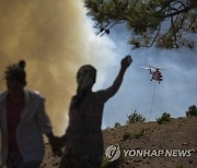 Turkey Wildfires