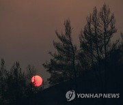 Greece Wildfires