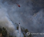 APTOPIX Turkey Wildfires