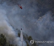 Turkey Wildfires