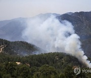 Turkey Wildfires