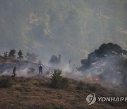 Turkey Wildfires