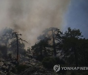 Turkey Wildfires