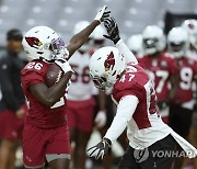 Cardinals Football