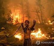 역대 최악의 화마..유럽·북미 덮친 산불 확산세 통제불능