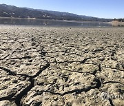 California Dry Mendocino