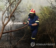 EU 회원국 잇따라 그리스 산불 진화 지원..소방대 1천명 파견