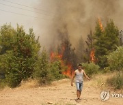 Greece Fires