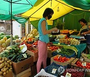 RUSSIA FRUIT AND VEGETABLE