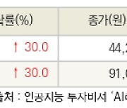 [fnRASSI]오늘의 상한가, 나노씨엠에스 30.0% ↑