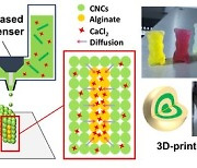 연세대 노영훈 교수팀 '인체 적합한 생체재료의 자유형상' 3D 프린팅 성공