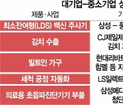 "대기업 진출이 中企 성장 억제 요인 아냐..윈윈 경험 쌓아야 장비·부품 국산화 가능"