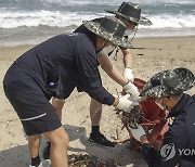 태풍 '루핏'이 남긴 쓰레기 수거하는 해군